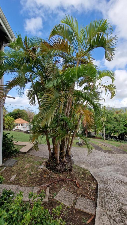 Apartamento Le Debarcadere Sainte-Anne Exterior foto